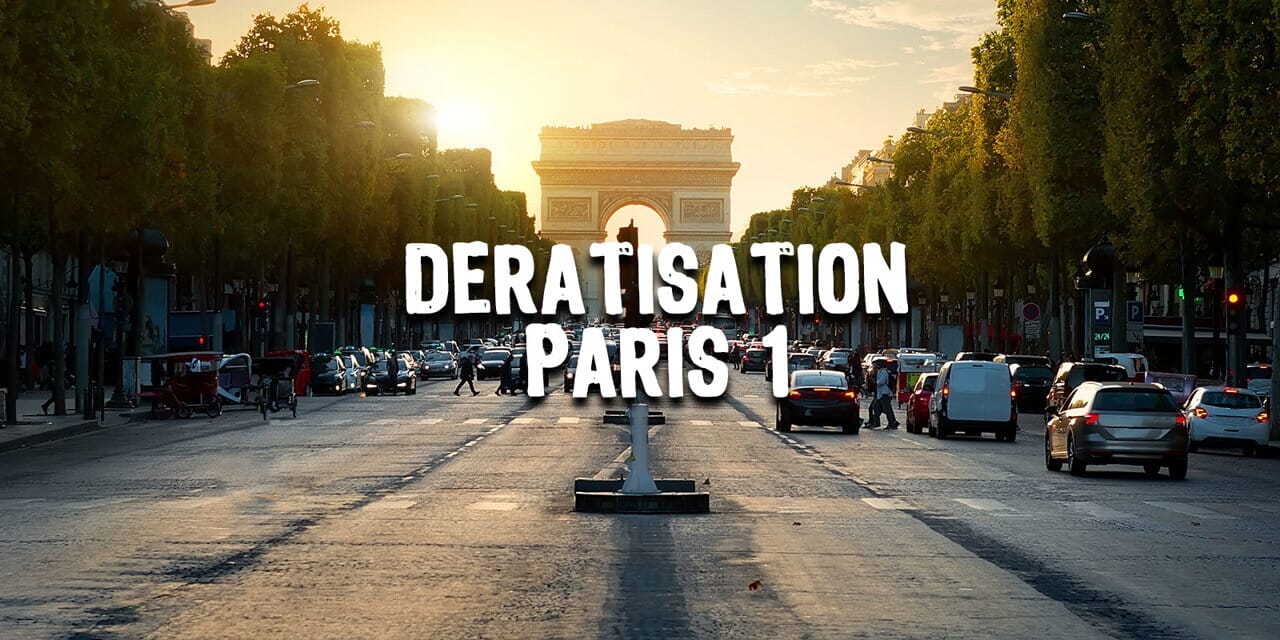 Dératisation Paris 1er