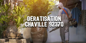 Dératisation Chaville