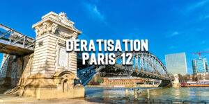 Dératisation paris 12 | Traitement Nuisibles Paris et ile de France