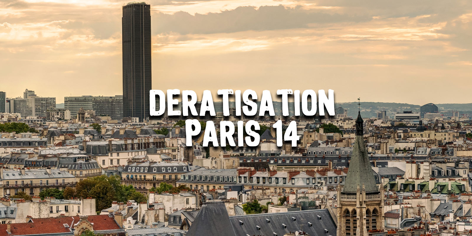 Dératisation Paris 14ᵉ
