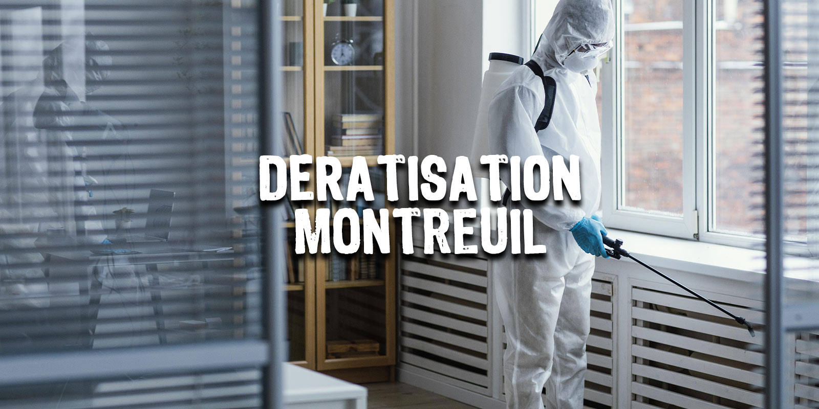 Solutions Traitement Nuisibles pour la dératisation  à Montreuil