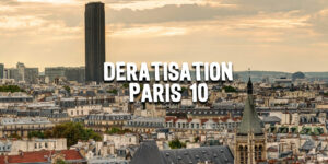 Dératisation Paris 10 | Traitement Nuisibles Paris et ile de France