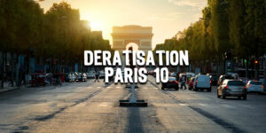 Dératisation dans le 8e arrondissement | Traitement Nuisibles Paris et ile de France