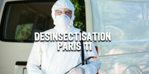 Désinsectisation Paris 11 | Traitement nuisibles