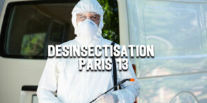 Désinsectisation Paris 13 | Traitement nuisibles