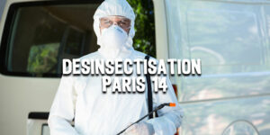 Désinsectisation Paris 14 | Traitement nuisibles