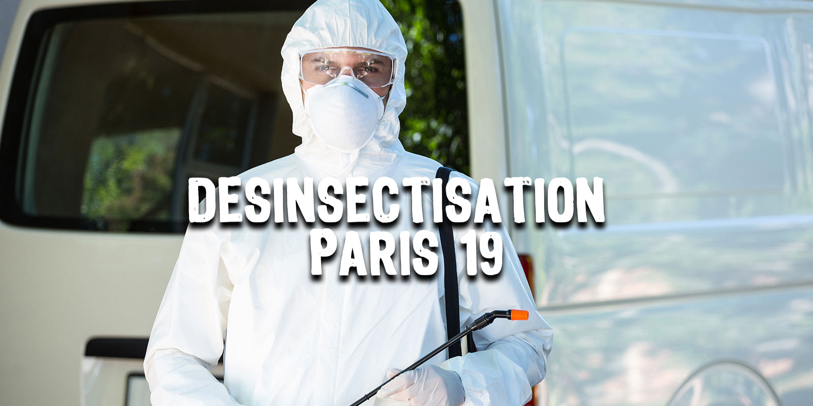 Désinsectisation Paris 19 | Traitement nuisibles