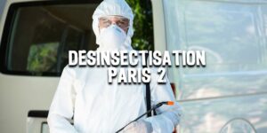Désinsectisation Paris 2 | Traitement nuisibles