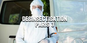 Désinsectisation Paris 3 | Traitement nuisibles