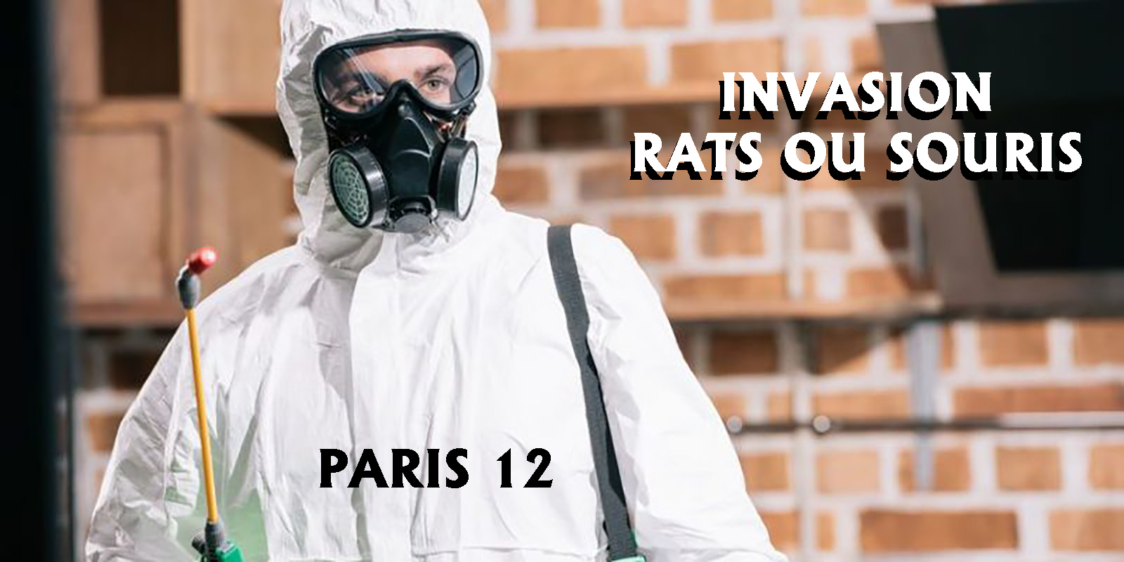 Invasion de rats ou de souris à Paris 12 (75012) : Une menace pour votre domicile